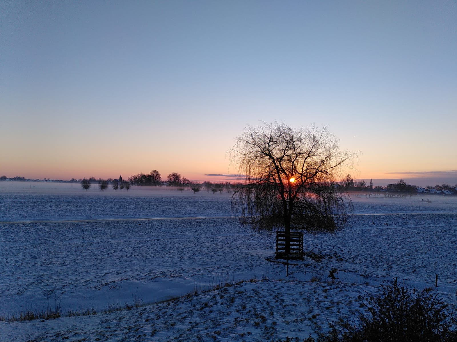 Kaasboerderij Noorderlicht